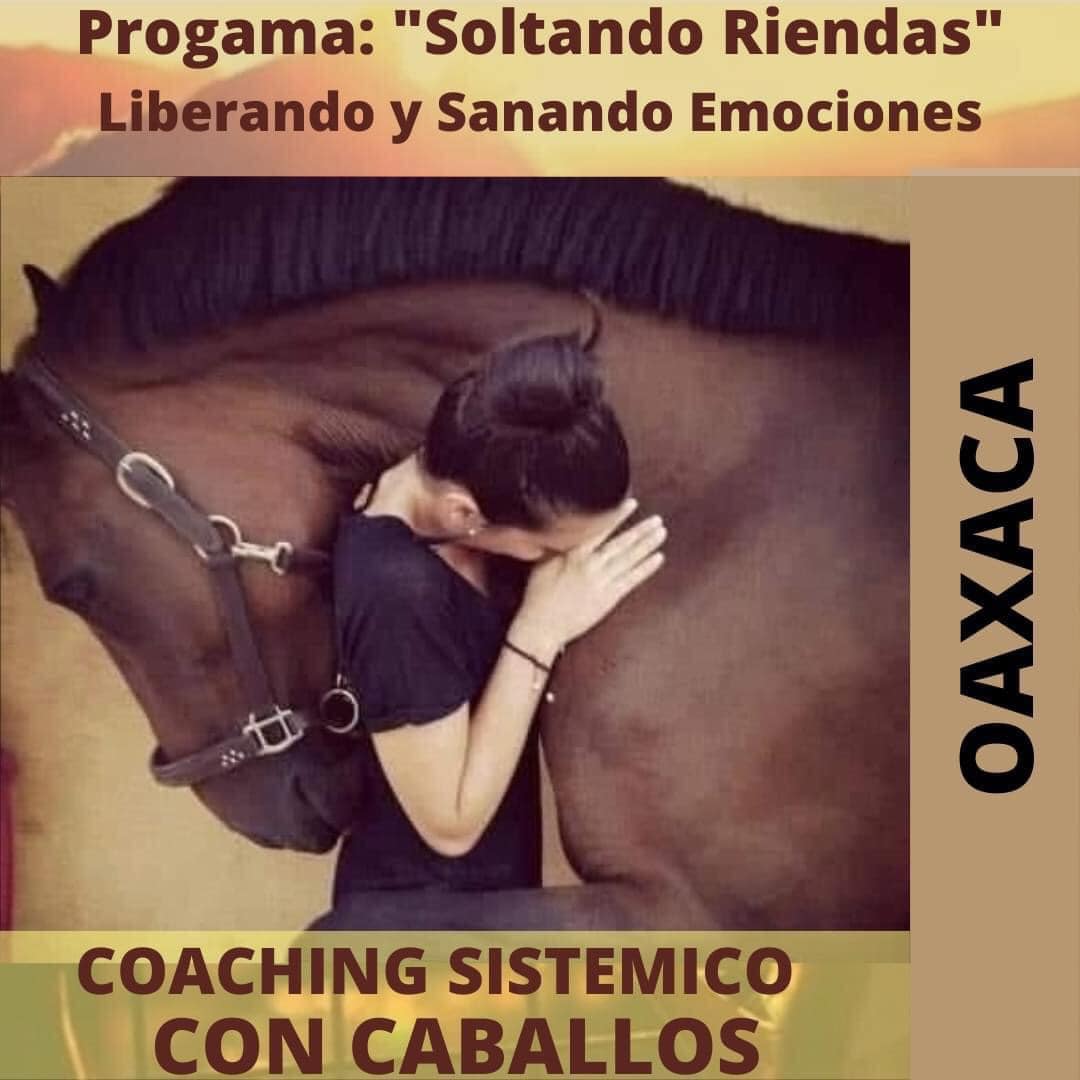 Soltando Riendas Oaxaca