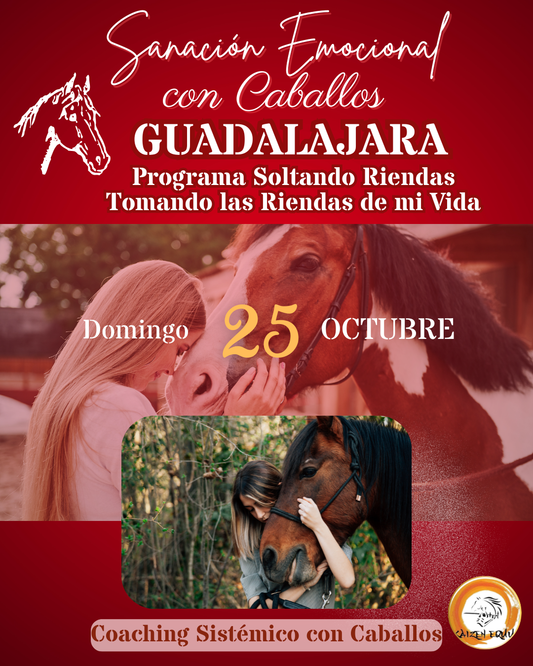 Guadalajara Soltando Riendas